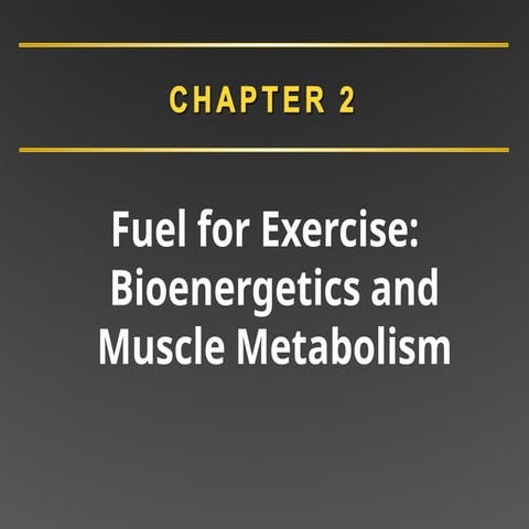 Fuel for Exercise Bioenergetics diet.ppt