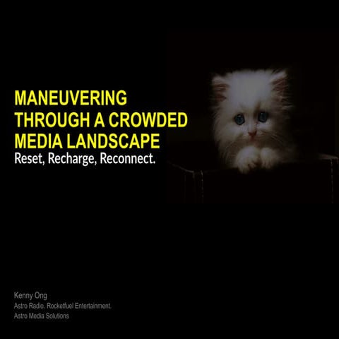 Maneuvering Through A Crowded Media Landscape