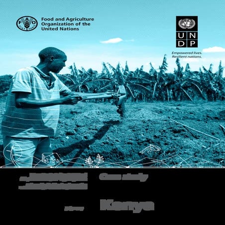 Kenya Case Study - FAO-UNDP Integrating Agriculture in National Adaptation Pl...