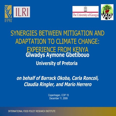 Kenya Adapt Mitig Final