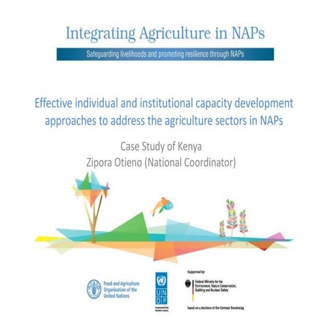 Kenya – Capacity Assessment