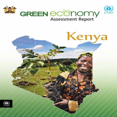 Indonesia Green Taxonomy: Towards a More Sustainable Financial System | PDF
