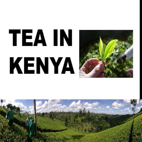 Tea in Kenya