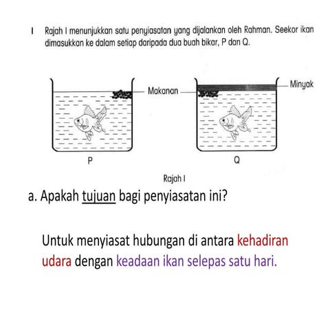 Keperuan asas haiwan