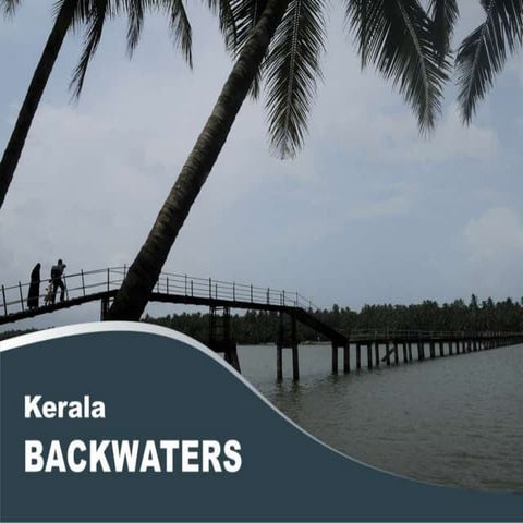 Kerala Backwaters-Backwaters-Alleppey Backwater-Backwaters in Kerala ...