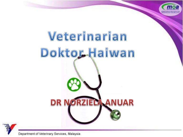 Kerjaya Doktor Veterinar