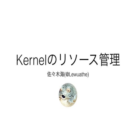 Kernel resource