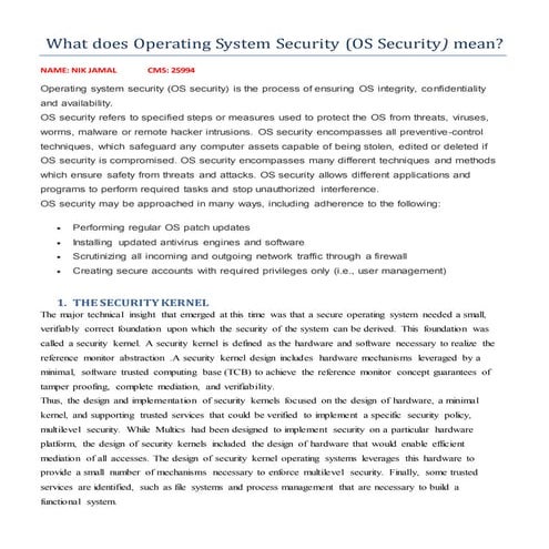 Kernel security of Systems | PDF