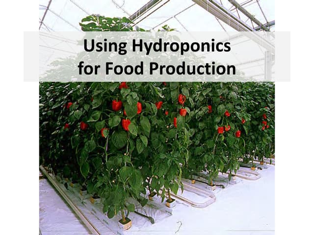 Using Hydroponics for Food Production Biology Diagrams