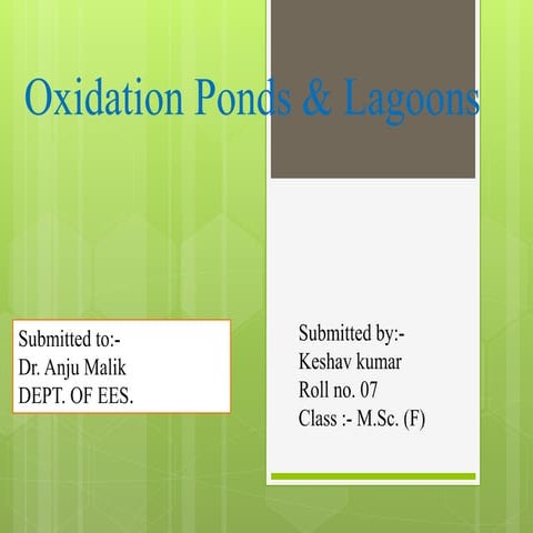 oxidation ponds & Lagoons