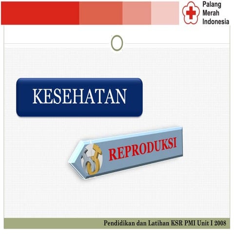 Kesehatan Reproduksi PPT (Materi PMR)