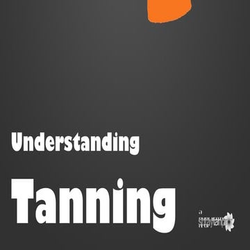 Lesson 4 - Spray Tanning - Understanding Tanning | PPT