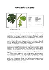 Teks tanggapan deskriptif