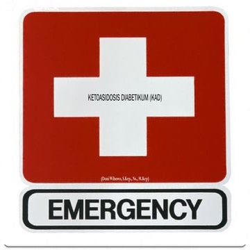 Asuhan Keperawatan_Ketoasidosis Diabetikum.pptx