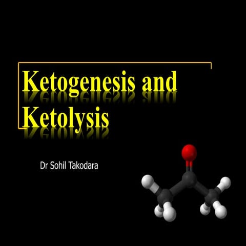 Ketogenesis and ketolysis