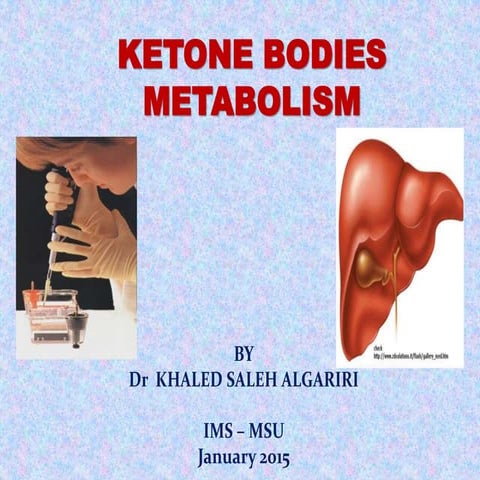 Ketone body metabolism