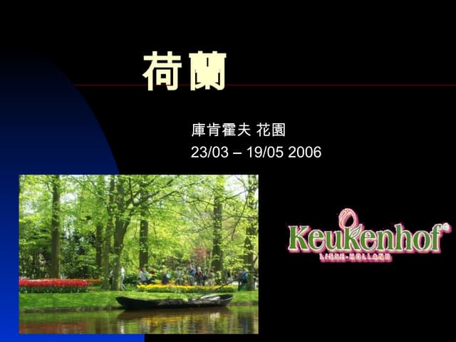 Keukenhof flowers in netherlands