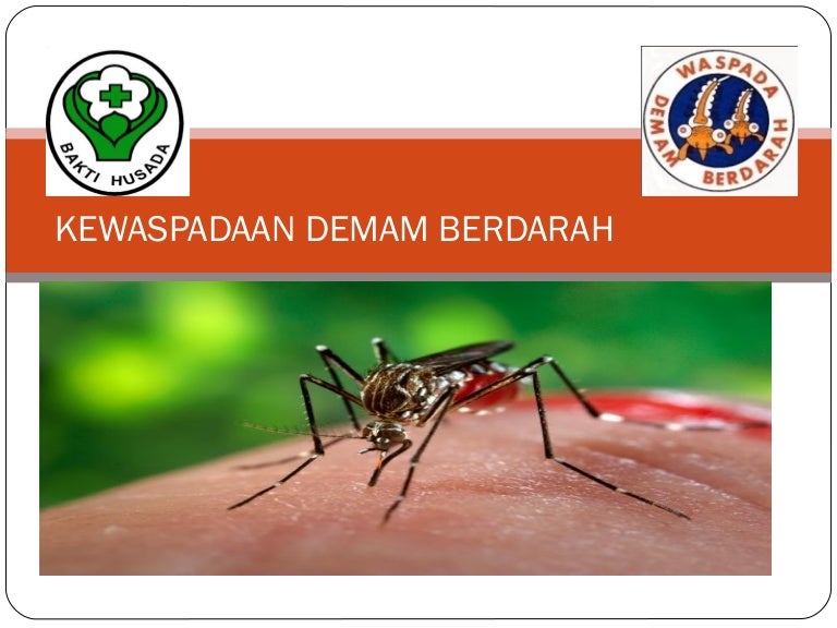 Kewaspadaan Demam Berdarah Cara 4 M Plus