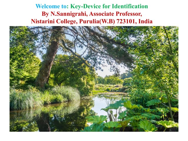Key device for identification