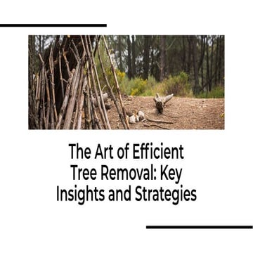 Essential Guide to Tree Removal: What Every Homeowner Should Know | PDF