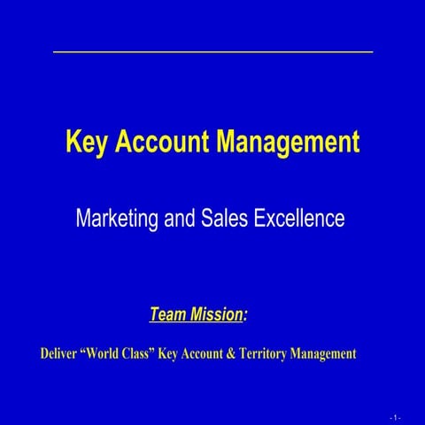 Key account management_plan
