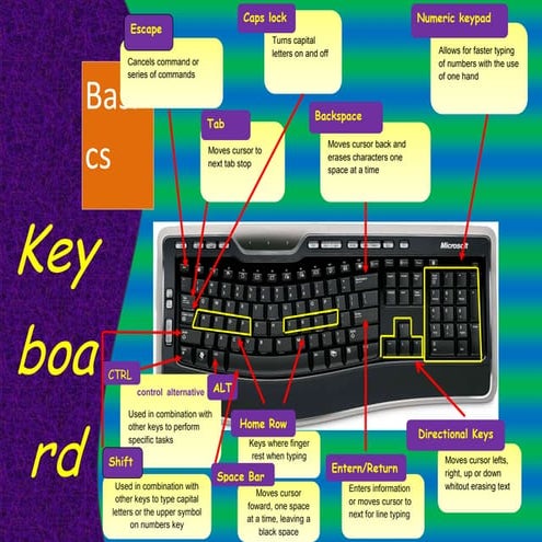 Keyboard Basics | DOCX