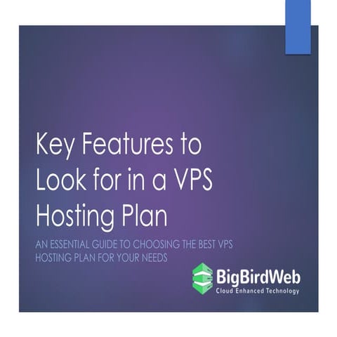 Key Features to Look for in a VPS Hosting Plan.pdf