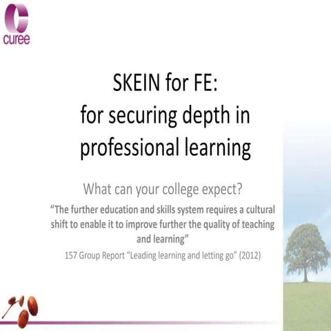 Key messages from skein and example findings