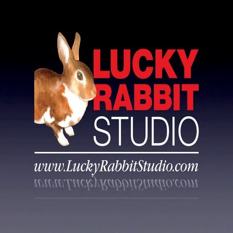 Lucky Rabbit Portfolio | KEY