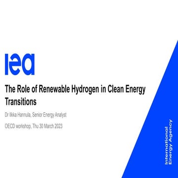 The Role of Renewable Hydrogen in Clean Energy Transitions: Dr Ilkka ...
