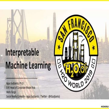 Keynote by Agus Sudjianto, Wells Fargo - Interpretable Machine Learning - H2O...