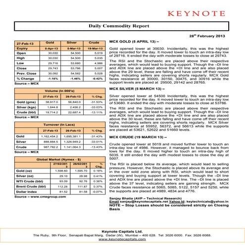 Keynote commodity daily report for 280213