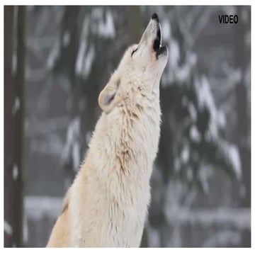 Keynote presentation   s, m. l. xl. all sizes of data matter when you want to...