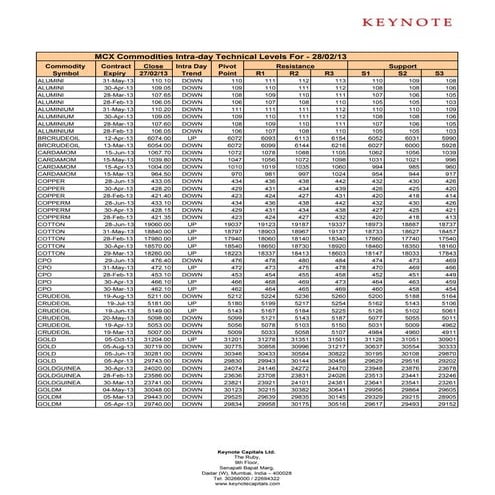 Keynote technicals commodity intraday levels for 280213