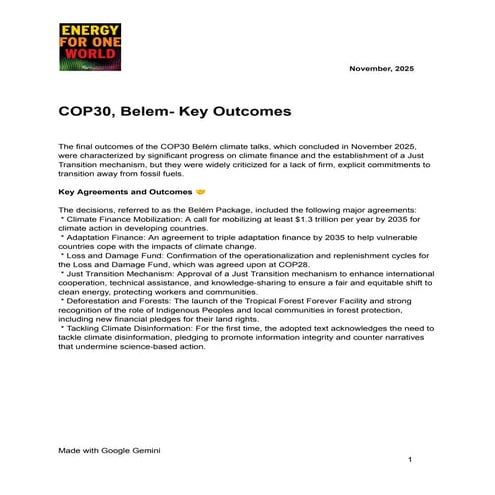 EFOW Briefing : Key Outcomes COP30 Belem