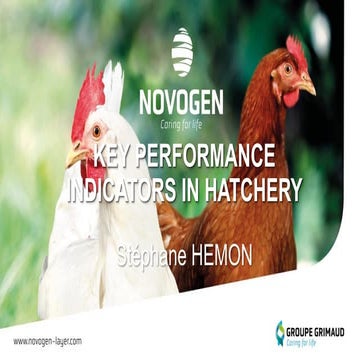 Key performance indicators in  hatchery  shemon lv