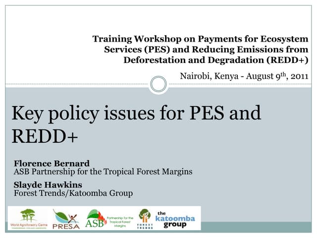 Key policy issues for PES and REDD+
