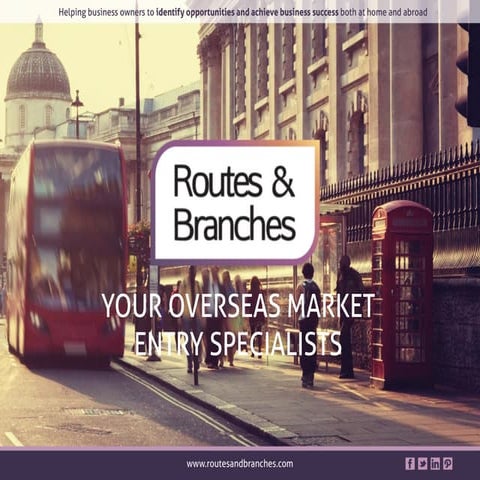 What we do - Routes and Branches