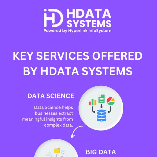 key services offered by hdata systems | PDF