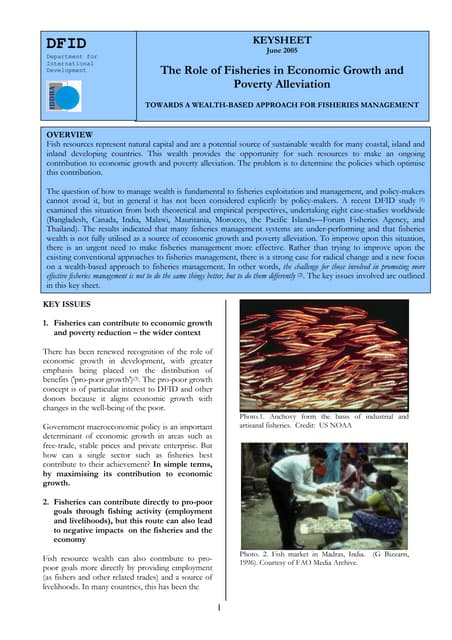 The Role of Fisheries in Economic Growth and Poverty Alleviation