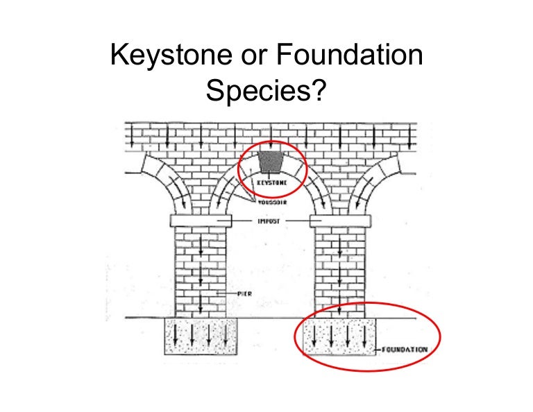 Keystone and Foundation Species