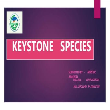 Keystone   species