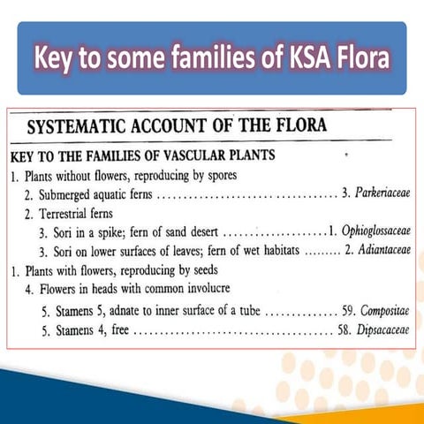 Key to some families of ksa flora