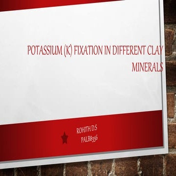 potassium  fixation in different clay minerals