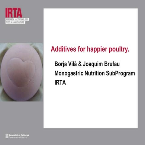 Sponsor Day on animal feeding: Additives for happier poultry
