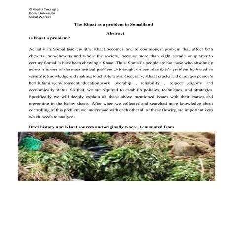 Khaat as a problem in somaliland