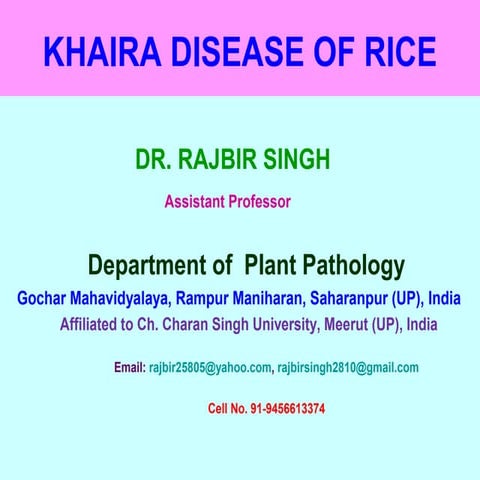 Khaira disease of rice