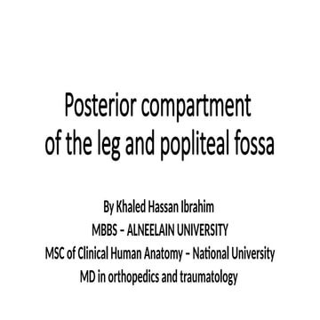 Popliteal Fossa.pptx