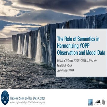 The Role of Semantics in Harmonizing YOPP Observation and Model Data