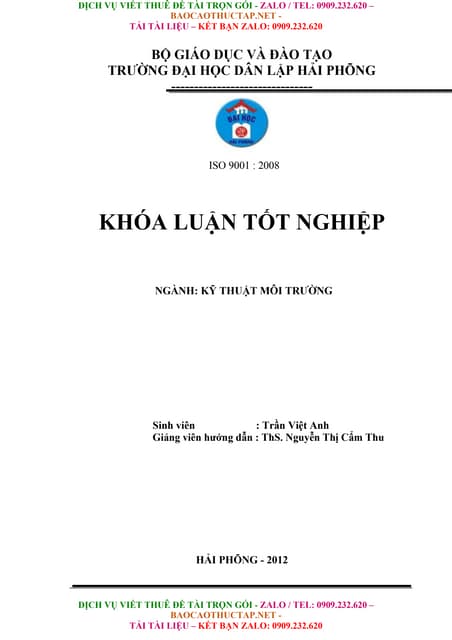 Khóa Luận Tốt Nghiệp Khảo Sát Khả Năng Hấp Phụ Amoni Của Vật Liệu Đá Ong Biến...